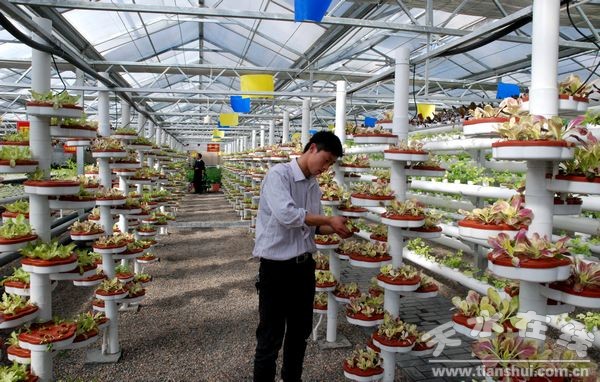 實(shí)驗(yàn)室水栽培需要什么樣的水