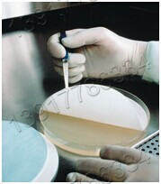 美國Merck Millipore默克密理博生命科學(xué)產(chǎn)品系列