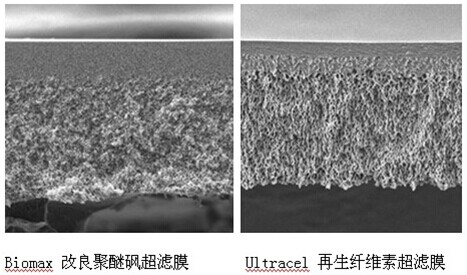 美國Merck Millipore圓片型超濾膜 美國Merck Millipore圓片型超濾膜