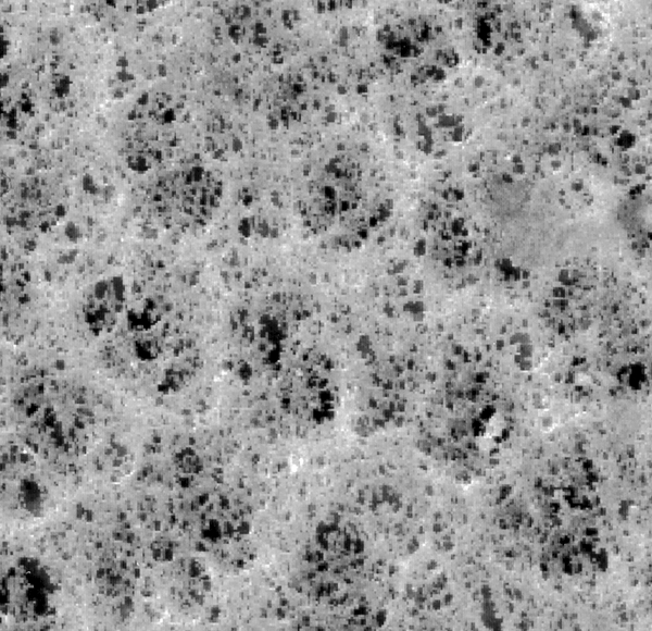 美國Millipore PVC白色光面5.0um表面濾膜 美國Millipore PVC白色光面5.0um表面濾膜