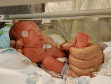 英國(guó)whatman 903樣本收集紙903濾紙 英國(guó)whatman 903樣本收集紙903濾紙