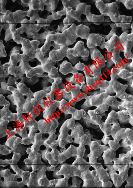 AG4502550 Millipore 0.45um*25mm親水光面銀膜